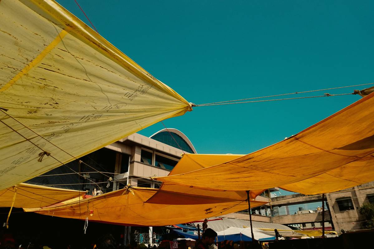 Garden Umbrella Market in Delhi: Your Shade Strategy Starts Here